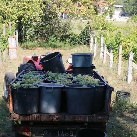 펜션 Quinta Do Couto *